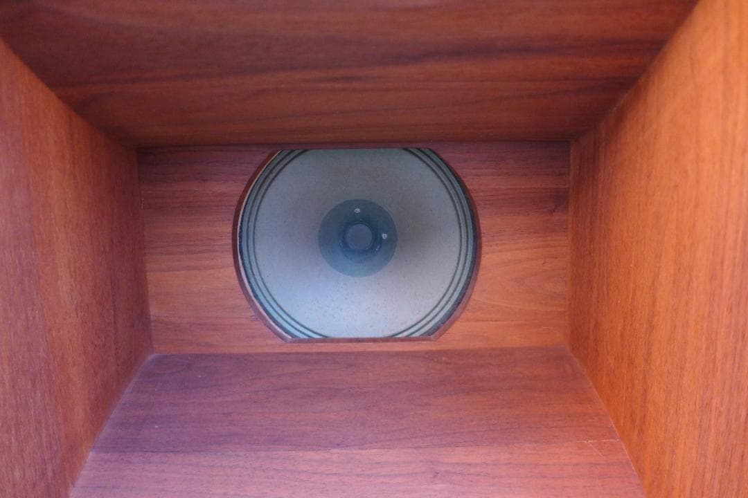 レア　SABA　サバ　Permadyn　19-200　+　フロントホーン　ペア