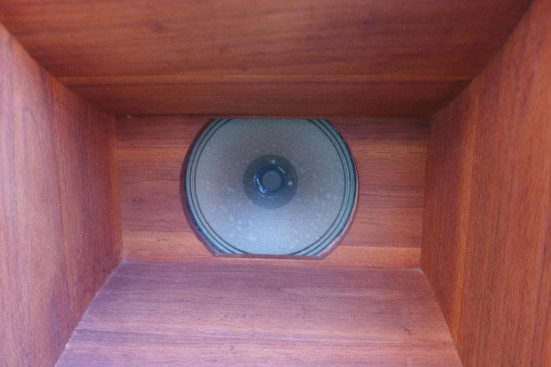 レア　SABA　サバ　Permadyn　19-200　+　フロントホーン　ペア