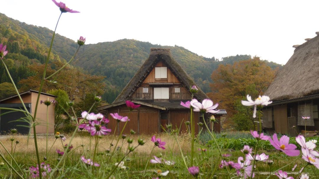 デジタルカメラ Panasonic LUMIX FX DMC-FX70-S