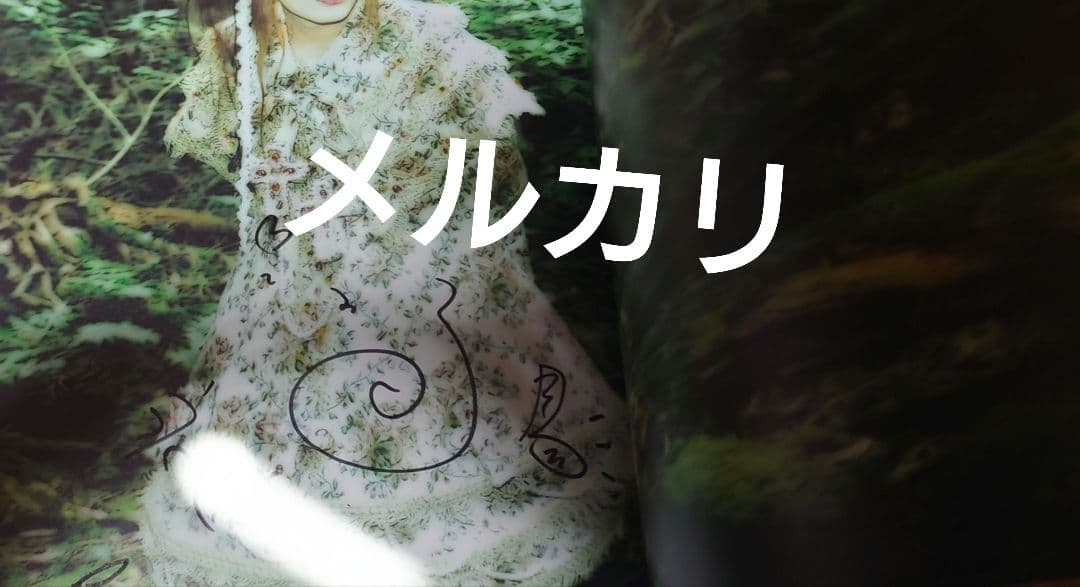 LAREINE パンフレット コメントサイン入り KAMIJO