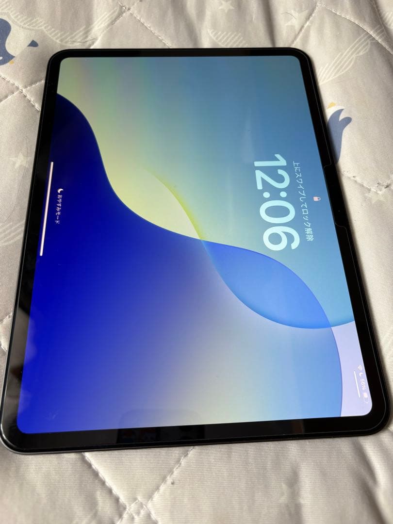 本日限定iPad Pro 11インチ256G Wi-Fi＋Cellularケース