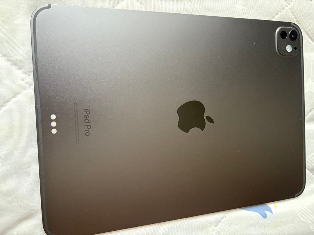 本日限定iPad Pro 11インチ256G Wi-Fi＋Cellularケース