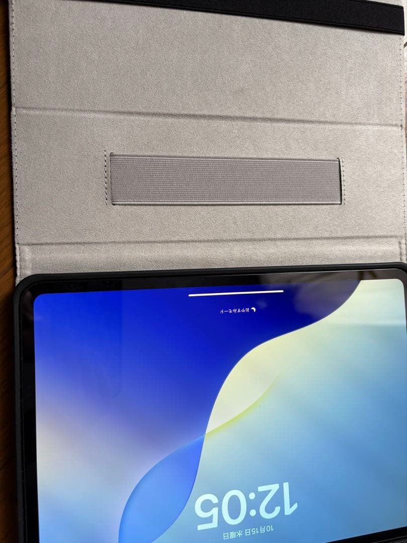 本日限定iPad Pro 11インチ256G Wi-Fi＋Cellularケース