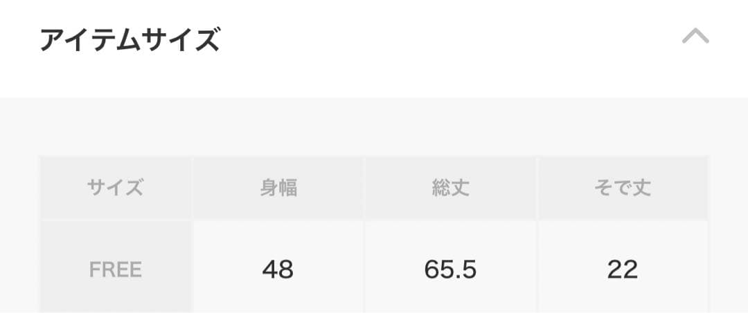 最終お値下げ CAMERA CLUBレイヤード重ね着Tシャツ