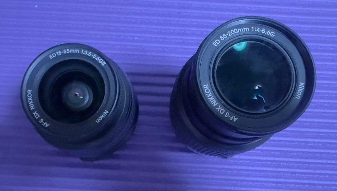 Nikon ニコン デジタル一眼レフカメラ D40