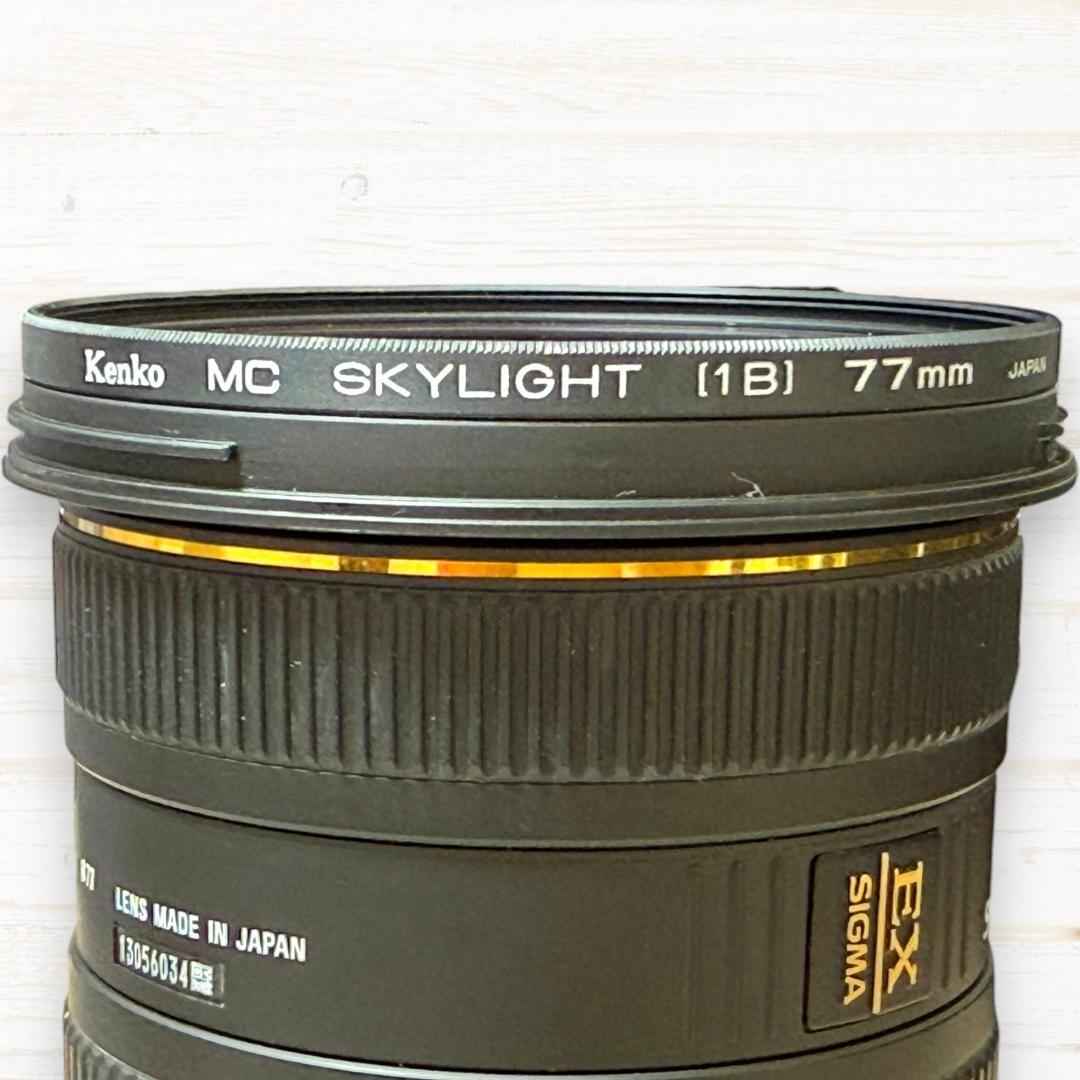 SIGMA 10-20mm F4-5.6 DC HSM Canon用 #257