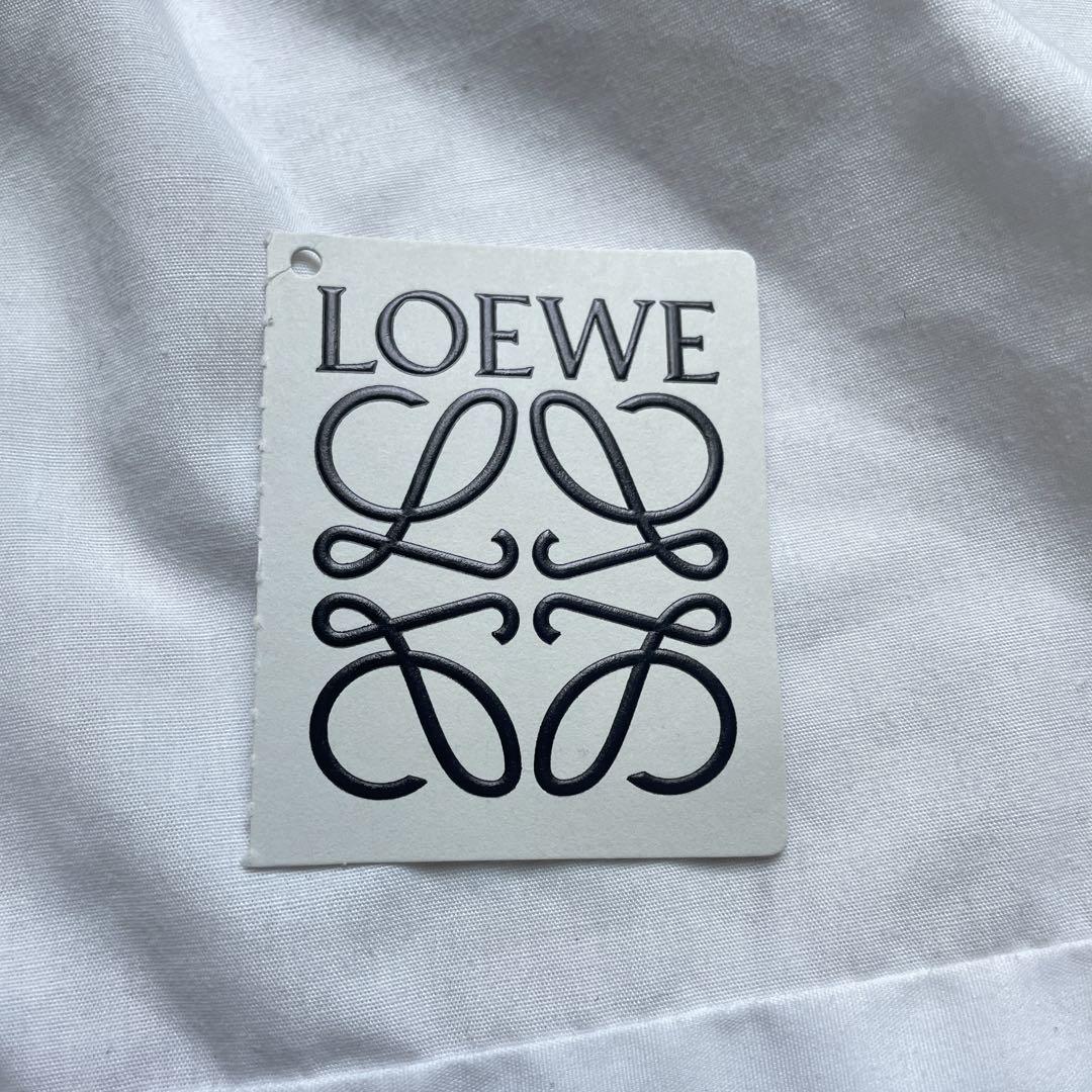 LOEWE Pea Pod ロエベ　ピーポッド　チャーム 完売品 美品