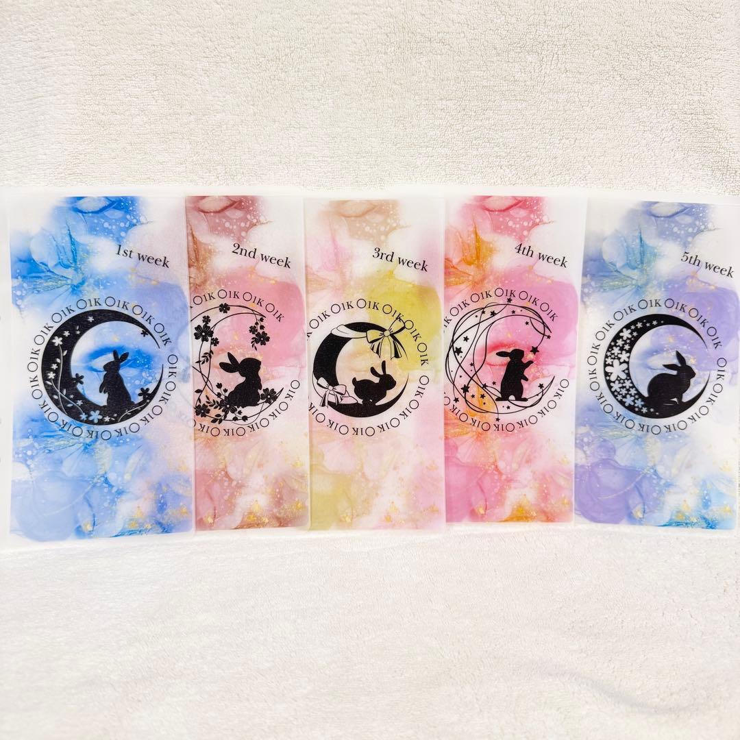 【れなち♡】リフィル3点、バインダー2点　計5点