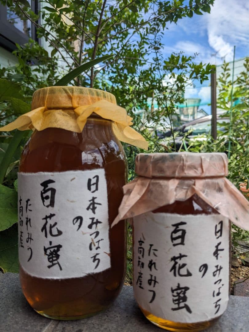 日本ミツバチ 蜂蜜 令和7年度 採れたて　たれ蜜　2年もの1200g ＋600