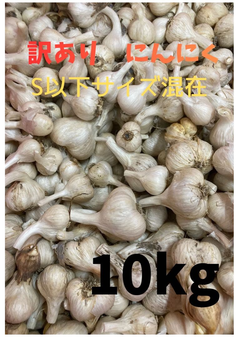 秋田県産　訳ありニンニク10kg