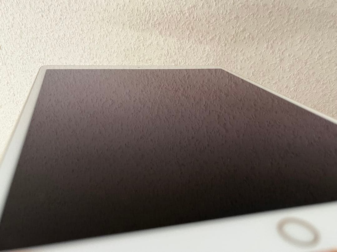 iPad Pro（10.5）Cellular 256GBゴールド 本体 付属品付