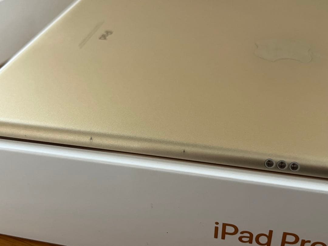 iPad Pro（10.5）Cellular 256GBゴールド 本体 付属品付