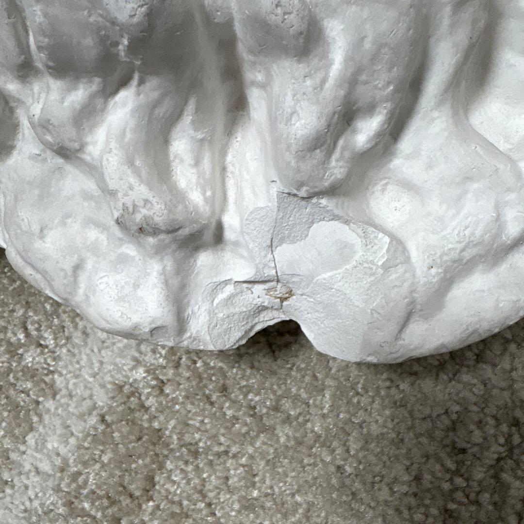 石膏像　チグリス大顔面　デッサン