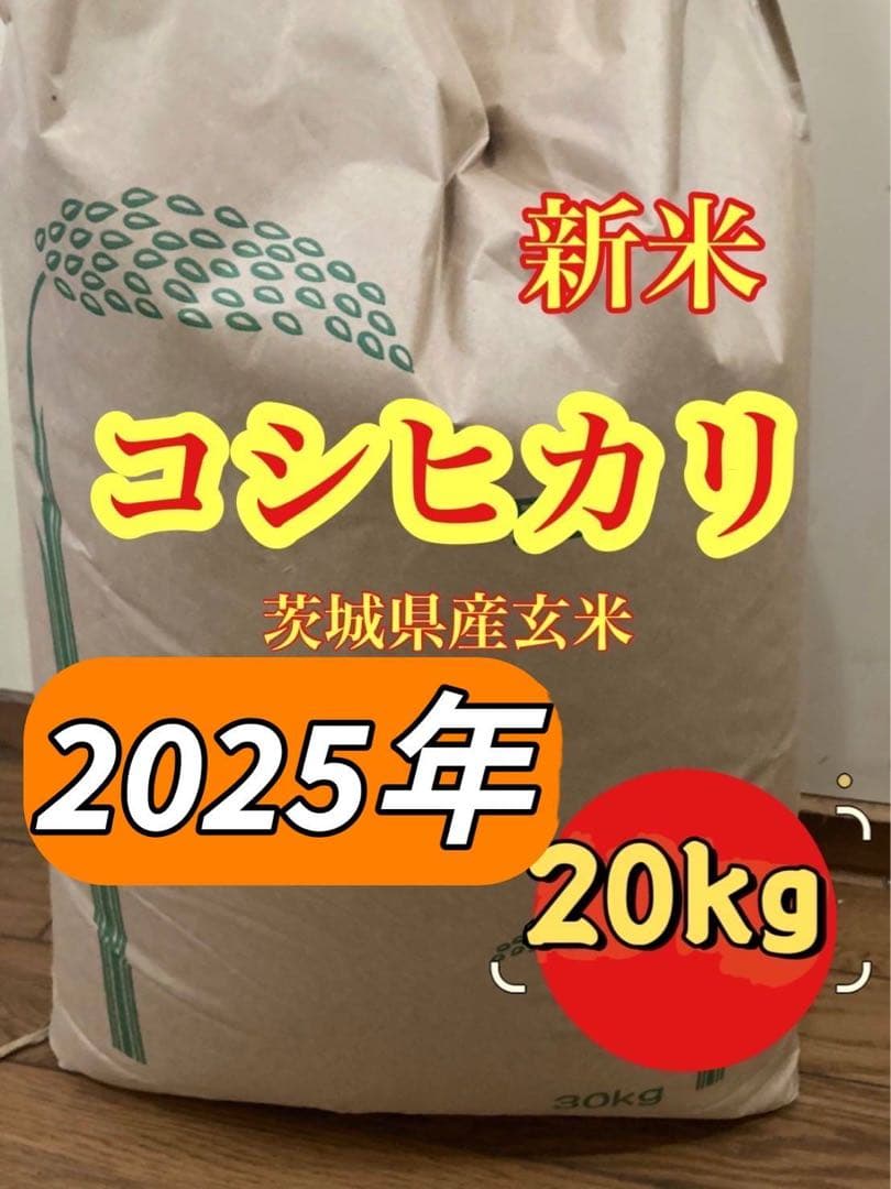 茨城県産コシヒカリ玄米