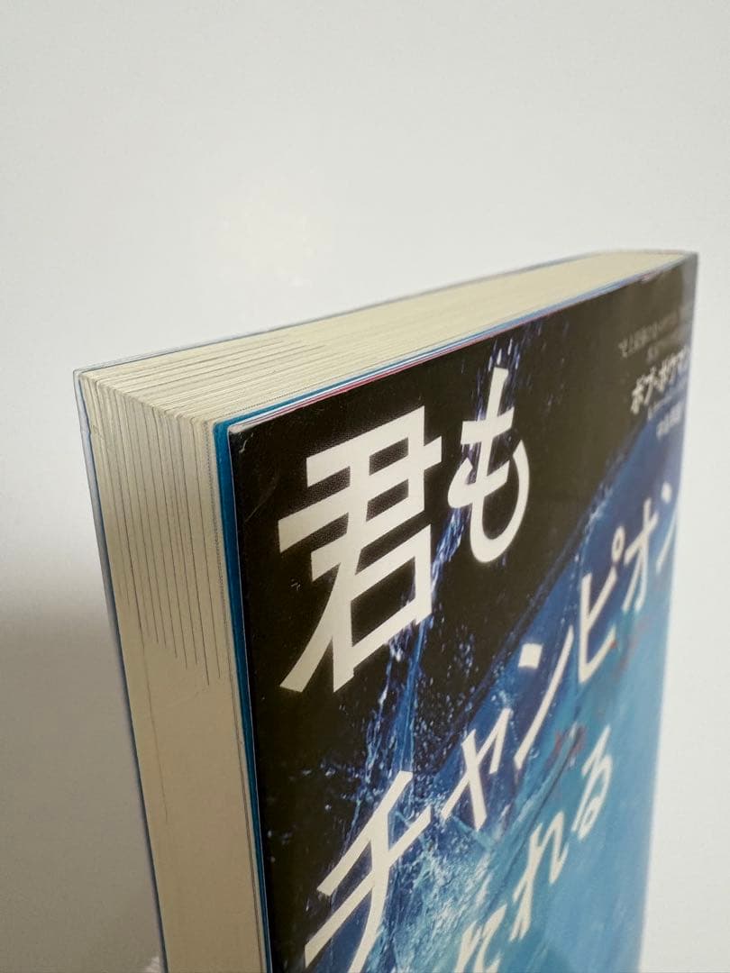 君もチャンピオンになれる The Golden Rules 億万長者のバイブル