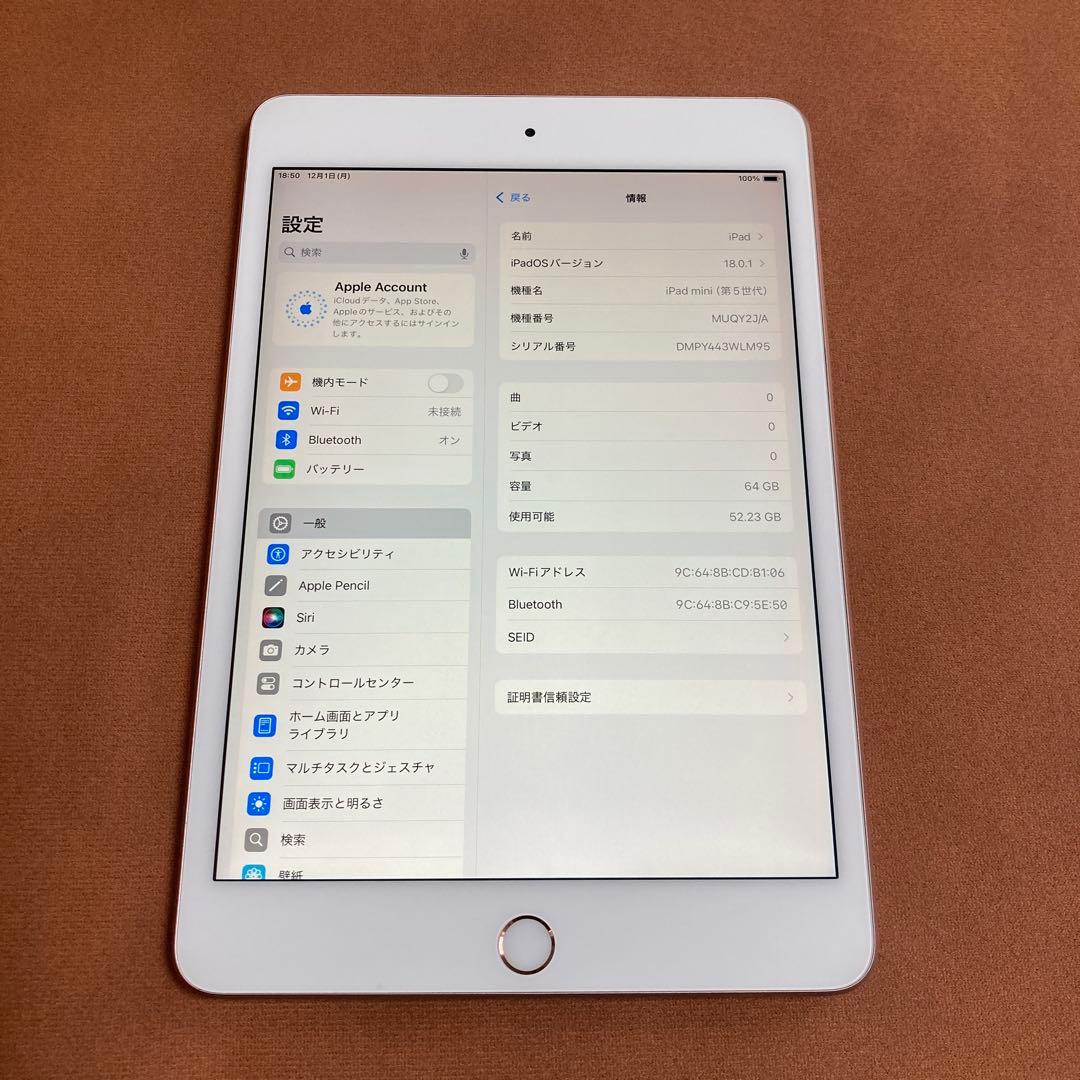3628【早い者勝ち】iPad mini5 第5世代 64GB WIFIモデル☆