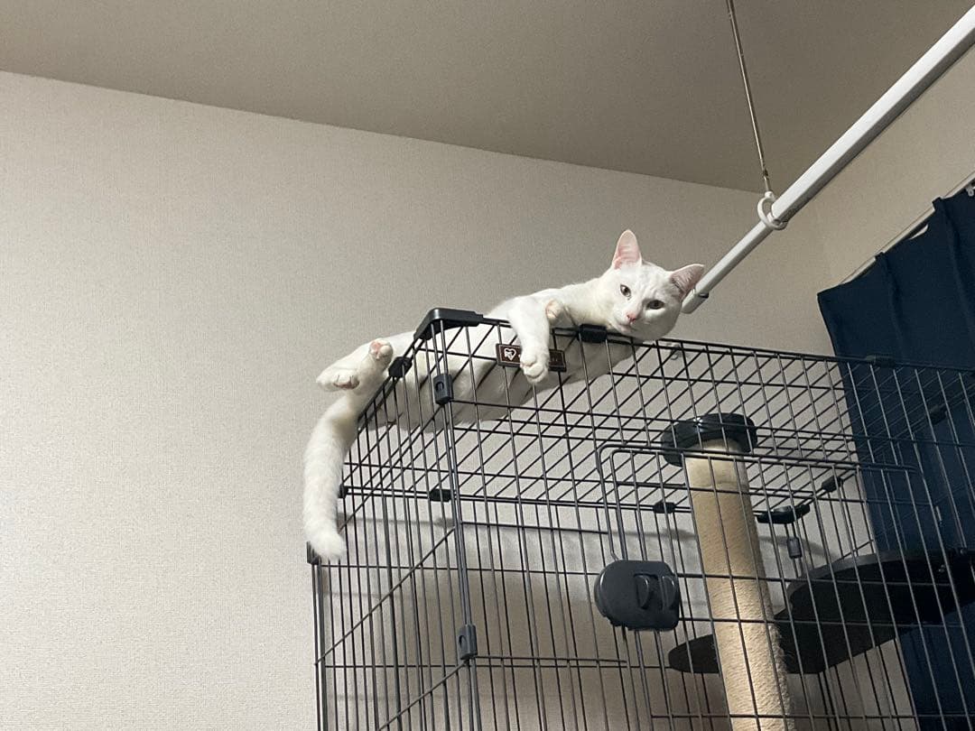 5段タイプ 爪研ぎポール付きキャットケージ 【アイリスオーヤマPCLC-903】