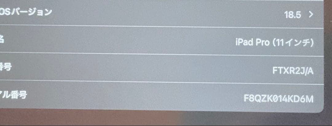 Apple iPad Pro 11インチ第一世代　256GB シルバー