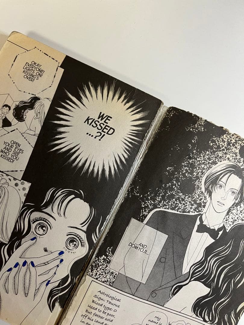 Boys Over Flowers 花より男子 英語版　1-12巻セット