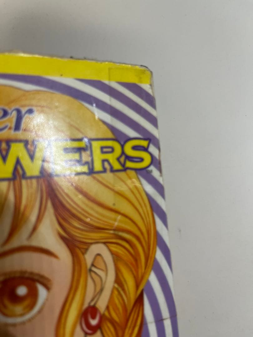 Boys Over Flowers 花より男子 英語版　1-12巻セット