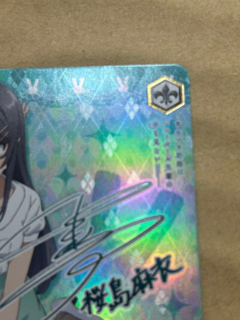 かけがえのない存在 桜島麻衣