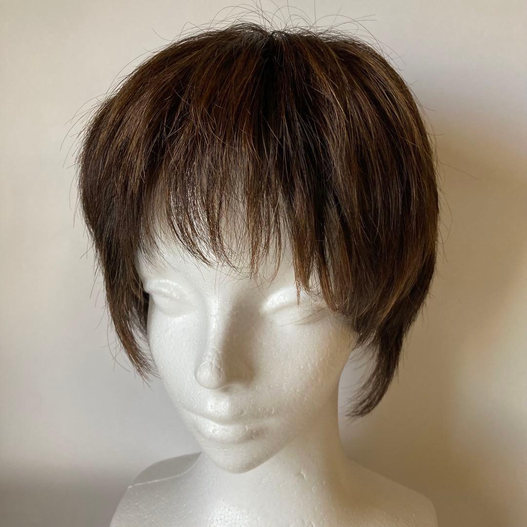 フォンテーヌ　VALAN VM44 ヴァラン　人毛MIX 　フルウィッグ