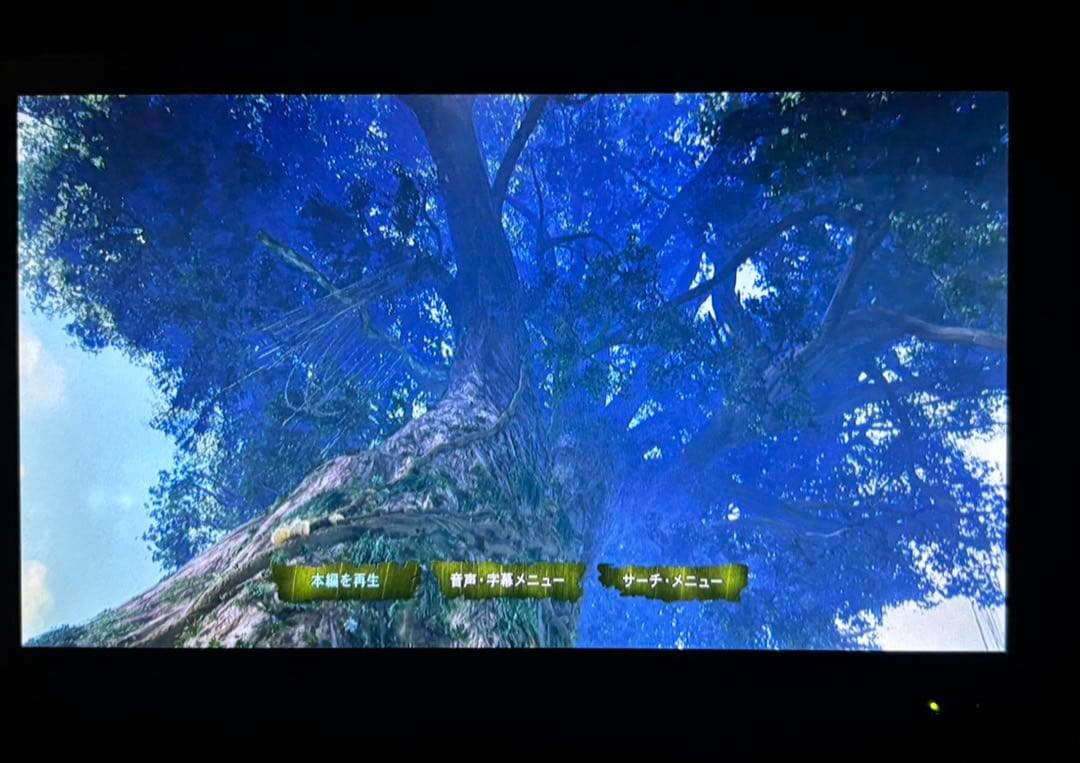 SONY ポータブルBlu-ray /DVDプレーヤー　BDP-Z1