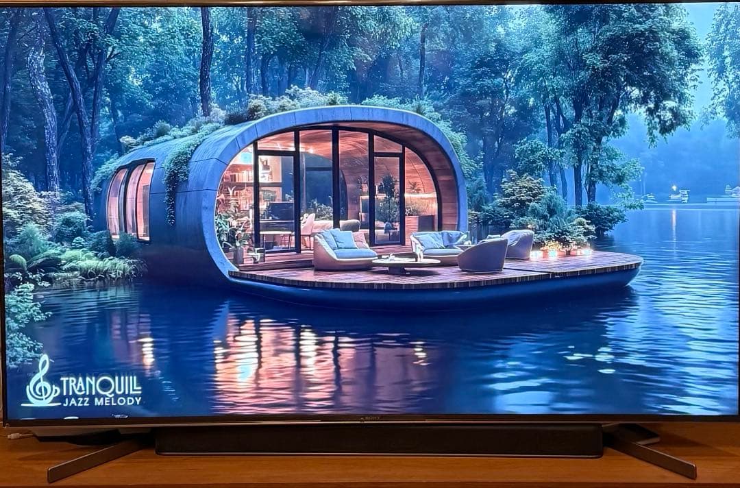 SONY 65V型 4Kテレビ KJ-65X9500G 液晶保護パネル付き