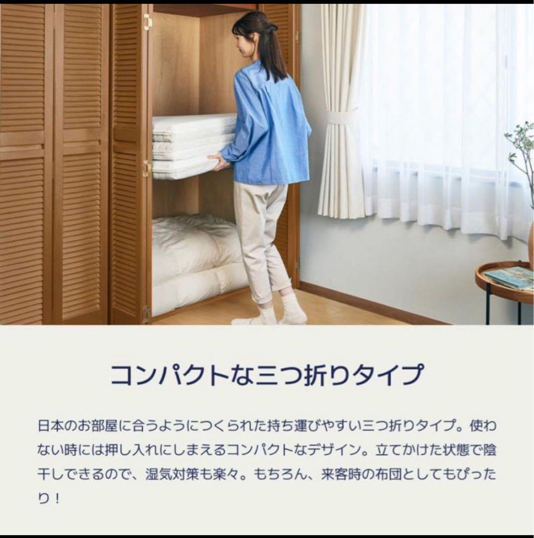 コアラフトン　OASIS シングル