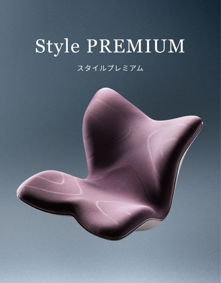 MTG スタイルプレミム　骨盤矯正 姿勢矯正 座椅子