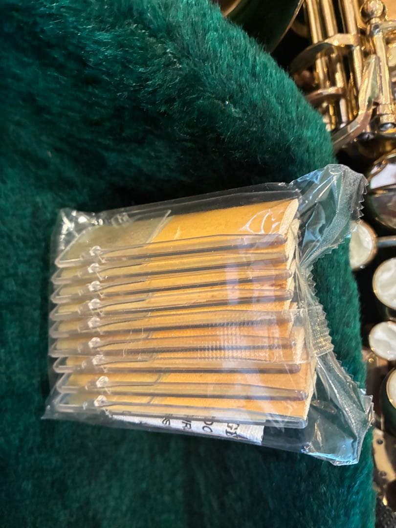 アルトサックス本体 ケース付　リード付　すぐ吹けます