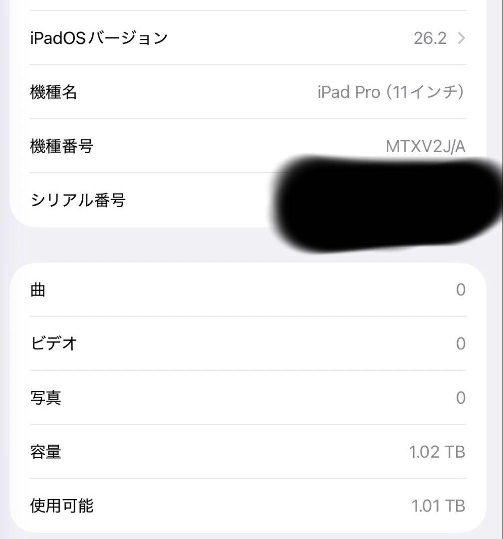 iPad Pro 11インチ　1TB