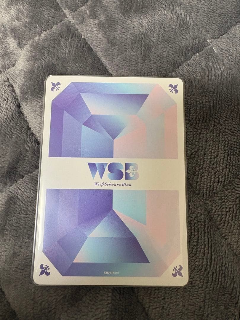 17 ヴァイスシュヴァルツブラウ ボンゴレ10代目候補 ツナ SP