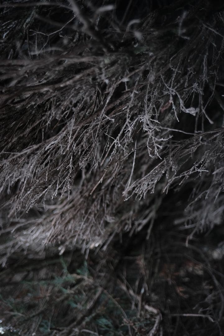 【極美品】Voigtlander ULTRON 27mm F2 Xマウント 箱付