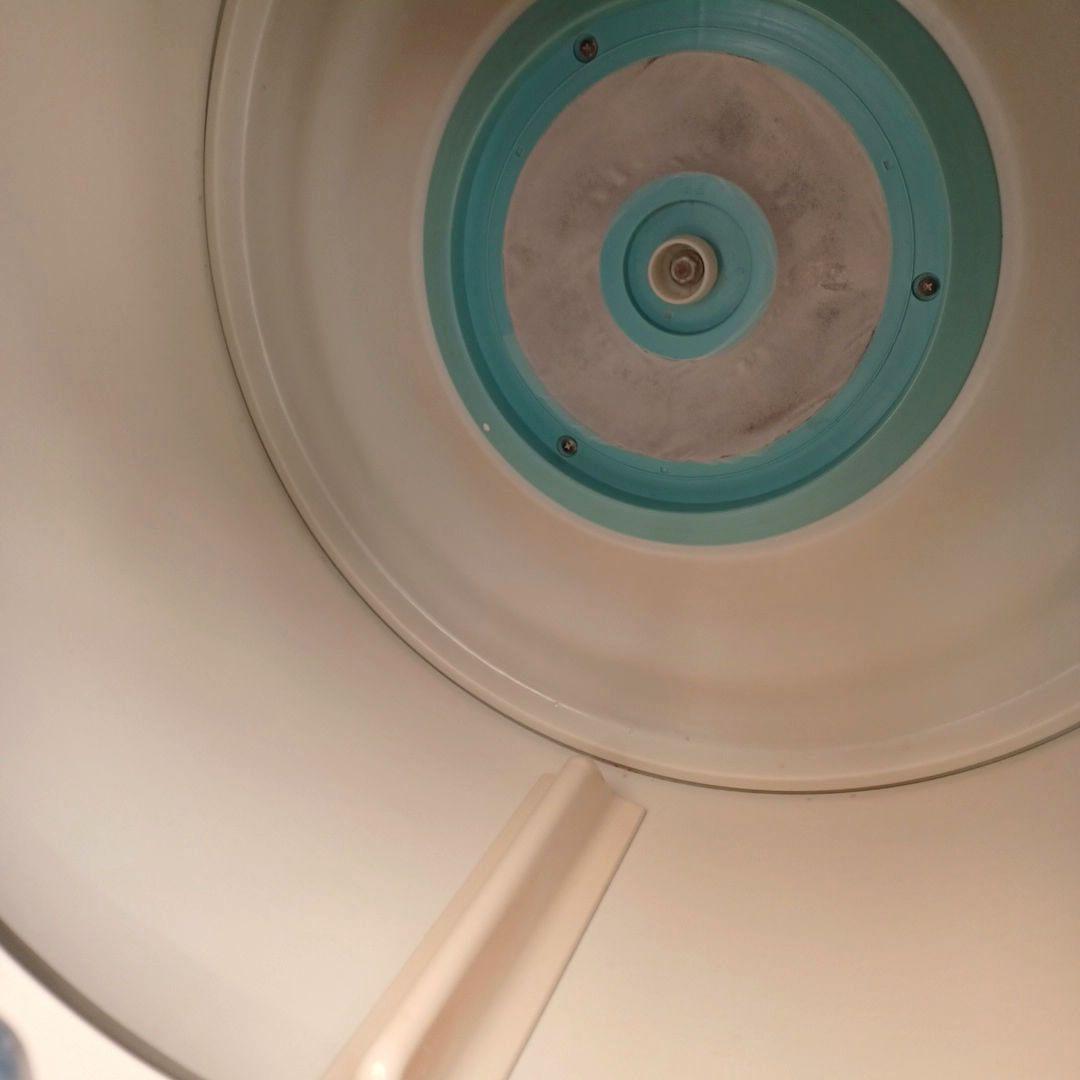 TOSHIBA ED-60C 衣類乾燥機 2019年製