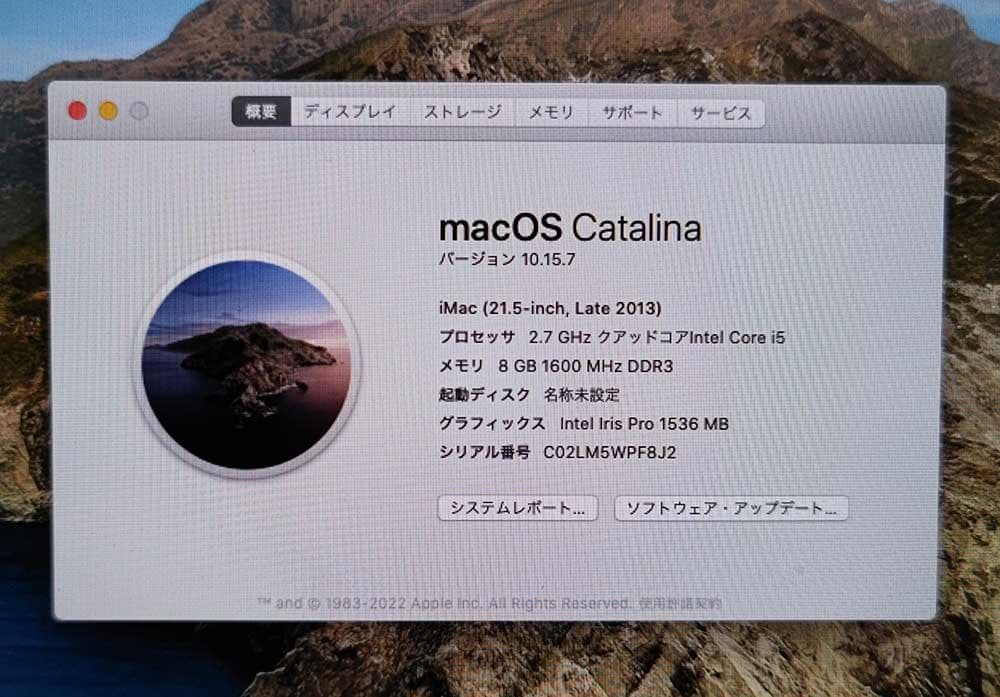 Macデスクトップ iMac 21.5 Late 2013 Core i5 8GB 1TB