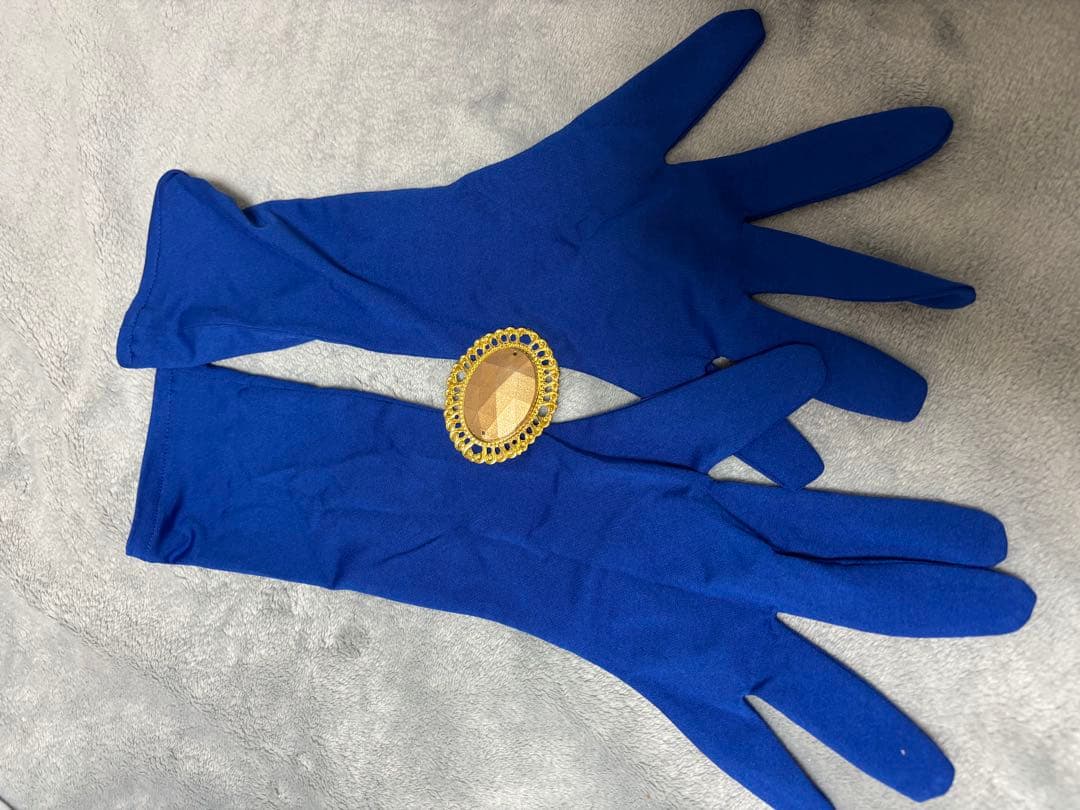 14時迄値下FateGrandOrder(FGO/アーキタイプ.アース/コスプレ