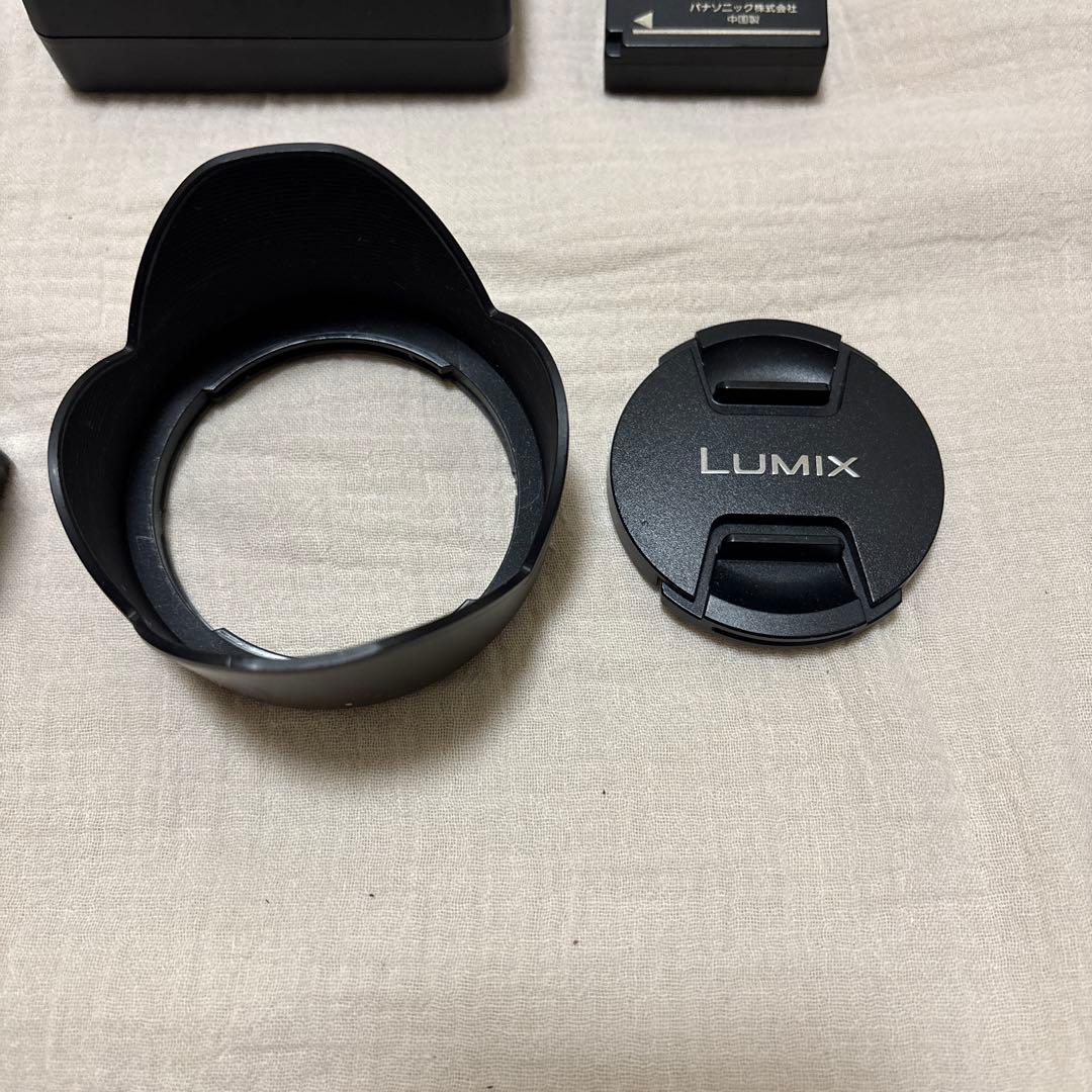 Panasonic DMC-GF3 ミラーレス一眼 14-42mm