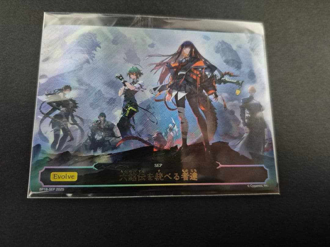 透京サプライセット　六銘伝を統べる者たち　SEP