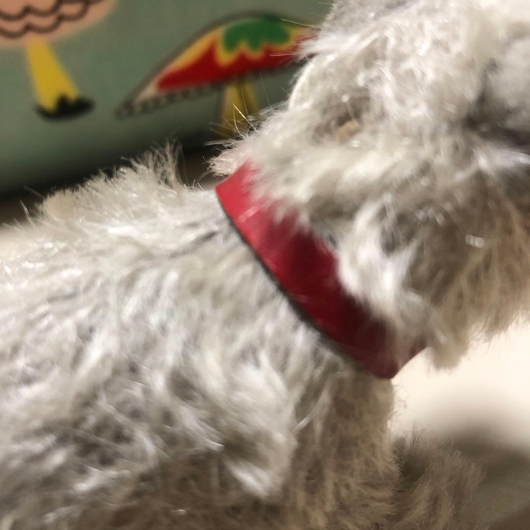 シュタイフ　シュナウザー　可愛い