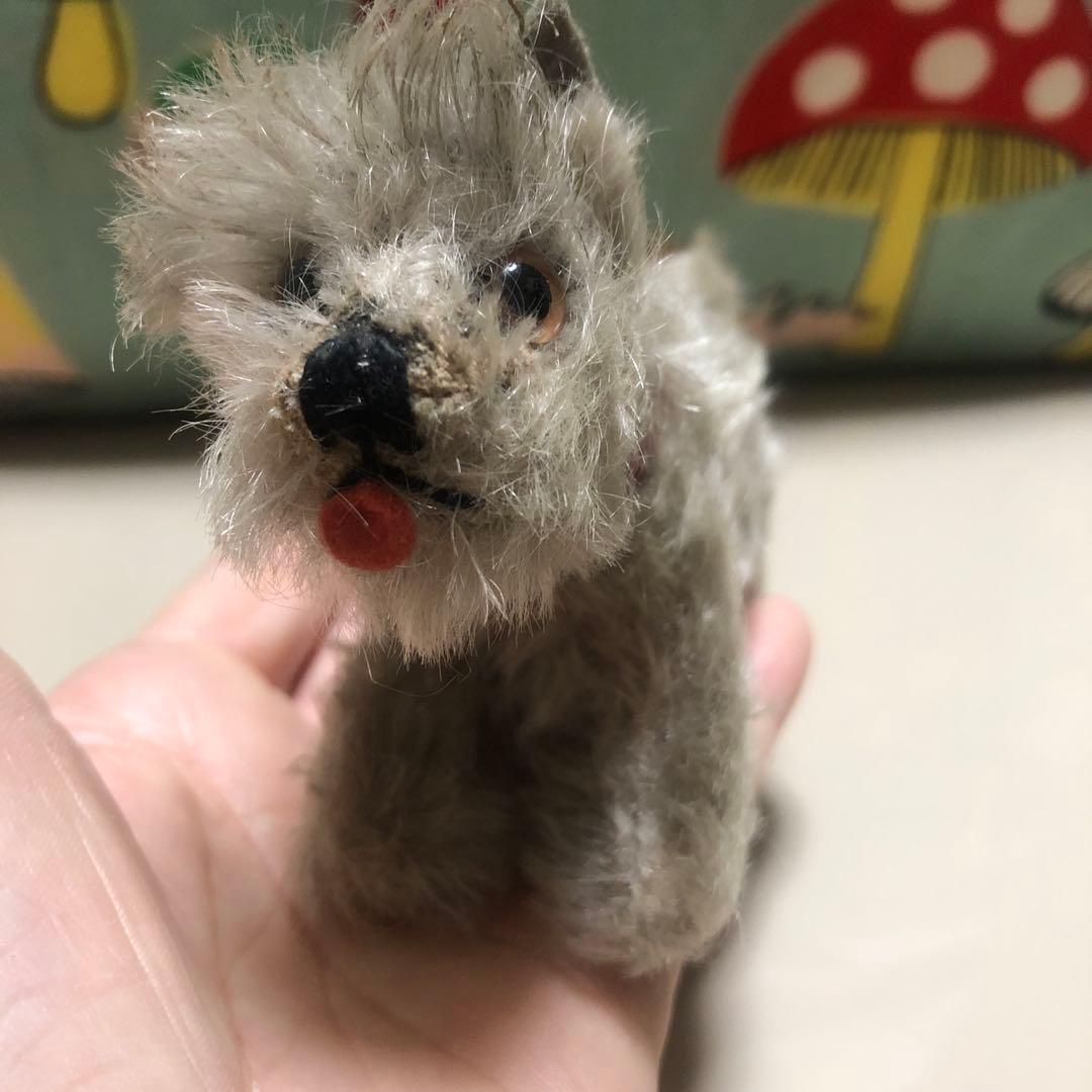 シュタイフ　シュナウザー　可愛い