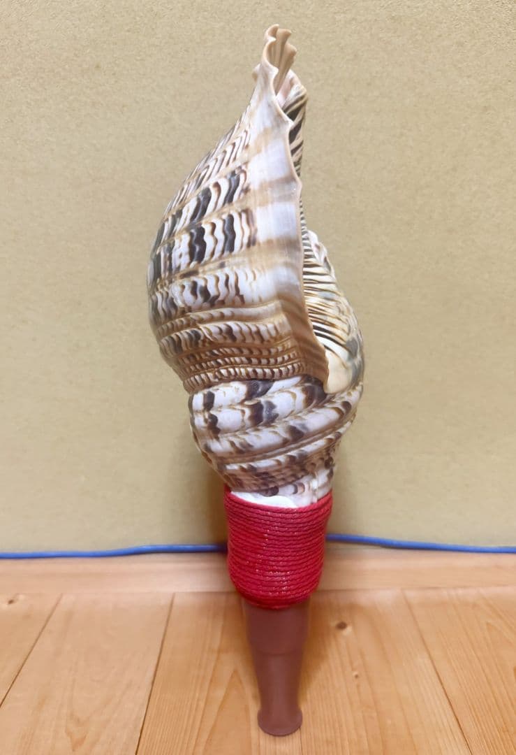 綺麗な最大級の修験道法螺貝44㎝山伏 ホラガイほら貝 熊よけ