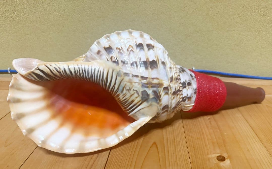 綺麗な最大級の修験道法螺貝44㎝山伏 ホラガイほら貝 熊よけ