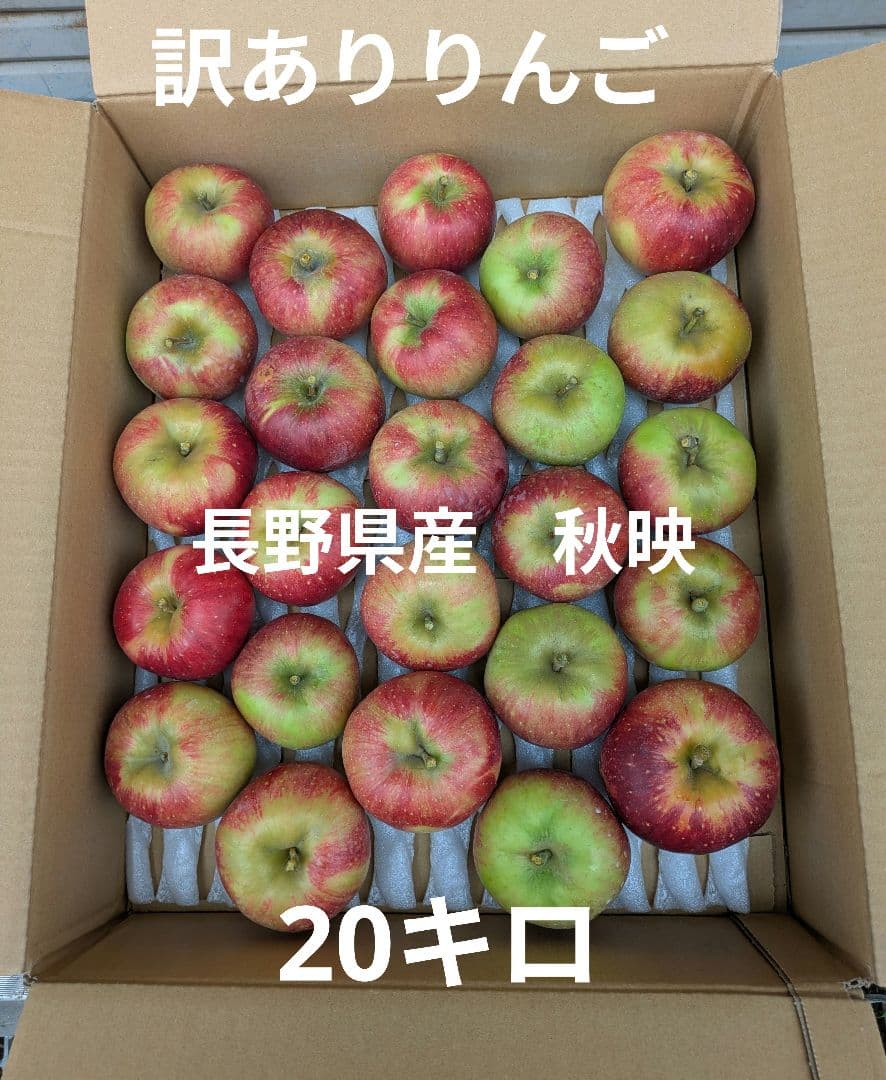 訳ありりんご　長野県産　秋映　20キロ