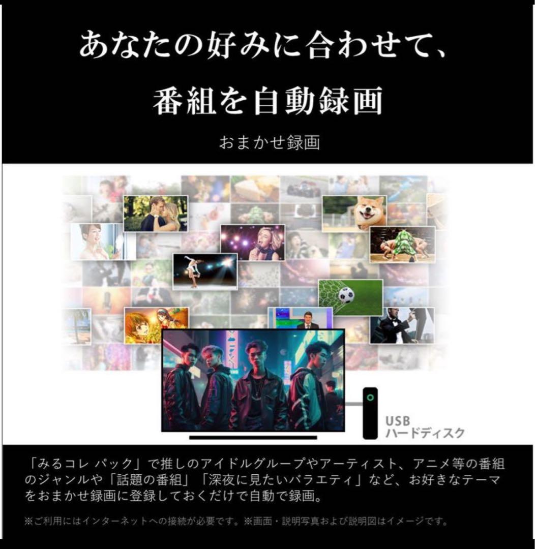 【超美品】REGZA E3 50E350M 50V 4K液晶テレビ