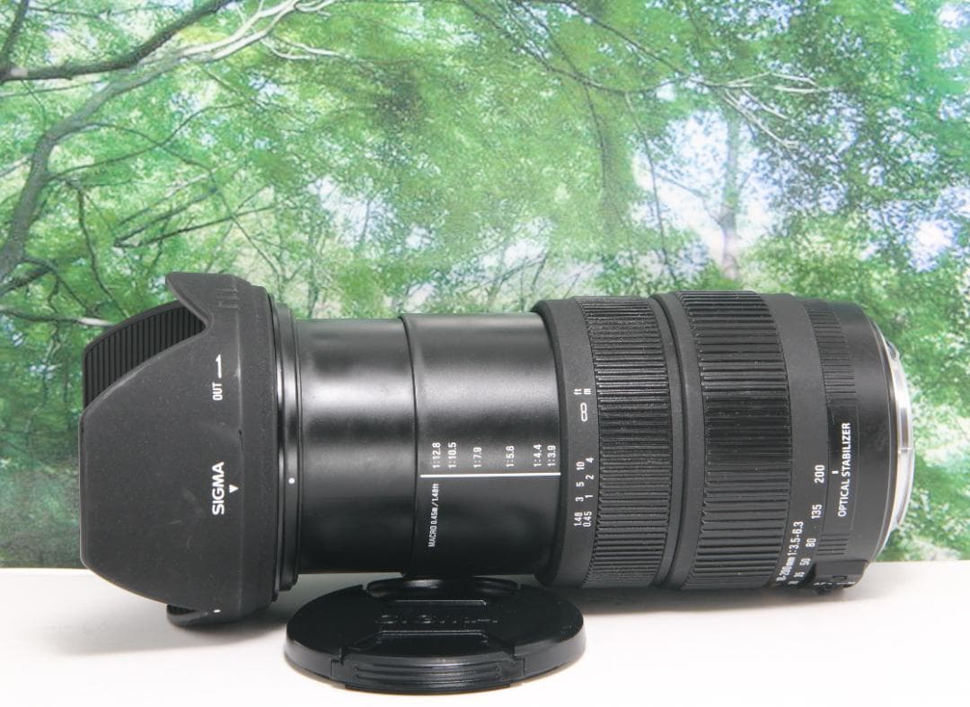 ❤手ぶれ補正する超便利な1本☆シグマ18-200mm OS Φ72 キヤノン用❤