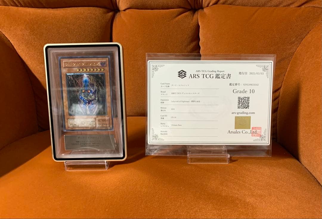 【ARS10 鑑定書付き psa10相当】 ダークネクロフィア レリーフ