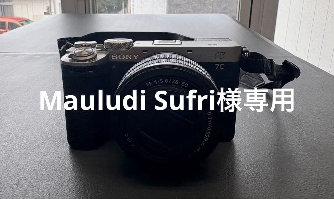 SONY α7C II（ILCE-7CM2） シャッター回数181回