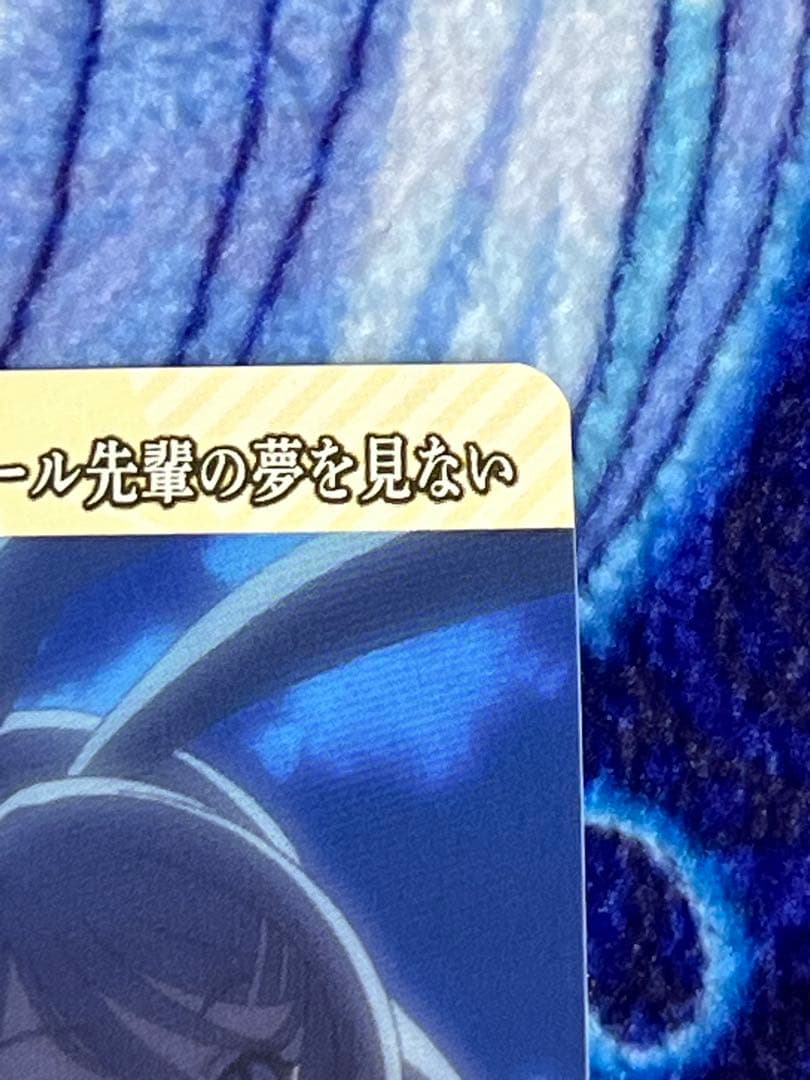 桜島麻衣　ビルディバイド　ブライト　青春ブタ野郎はバニーガール先輩の夢を見ない