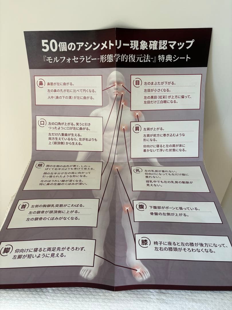 広江洋一　モルフォセラピー　本編DVD3枚・特典DVD1枚他